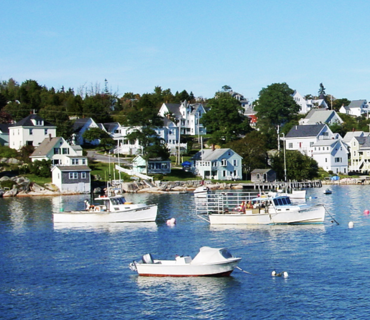 Harbor view with boats and coastal homes